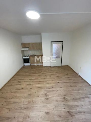 Pronájem světlého bytu 2+1 (43 m - Photo 3