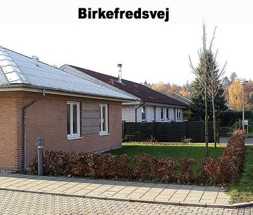 Rørsangervej,Teglvænget,Birkefredsvej 446-0 - Photo 1