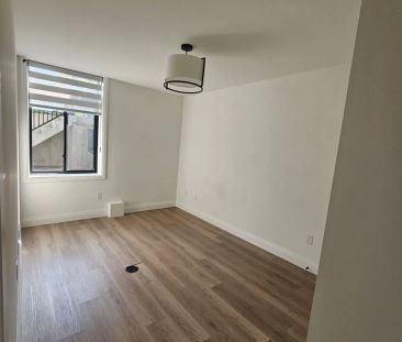 3900 Savoy Street #63 - Photo 2