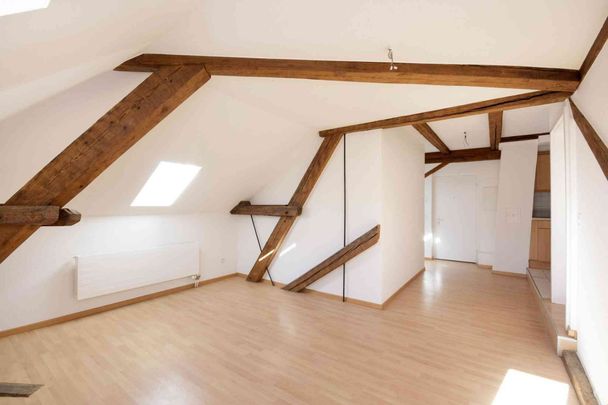 2.5 Zimmer, 47 m², 2. Stock - Foto 1