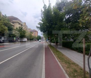 Apartament de inchiriat, 2 camere, 42 mp, parter, zona Bv De - Fotografie 3