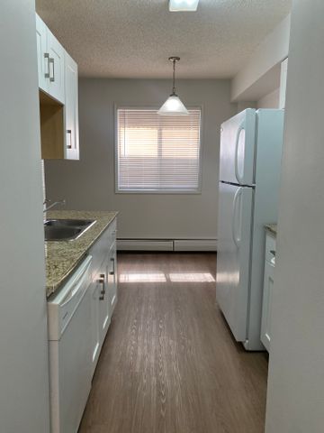 Spacious One Bedroom Apartment in Beautiful Sunnyside - Photo 5