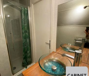 Location Appartement 1 pièce 25m² GRENOBLE 38000 - Photo 5