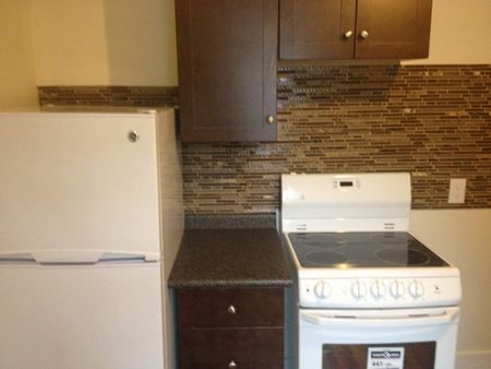 Newly renovated 1 bedroom with fenced yard in the heart of the Cathedral Area - Photo 4