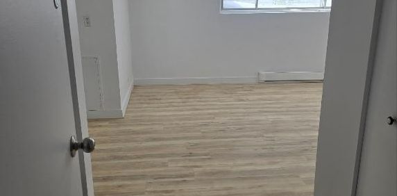 À LOUER – ENTIÈREMENT RÉNOVÉ Studio 2 1/2 à St-Bruno-de-Montarville OCCUPATION 1ER MARS 2026 - Photo 2