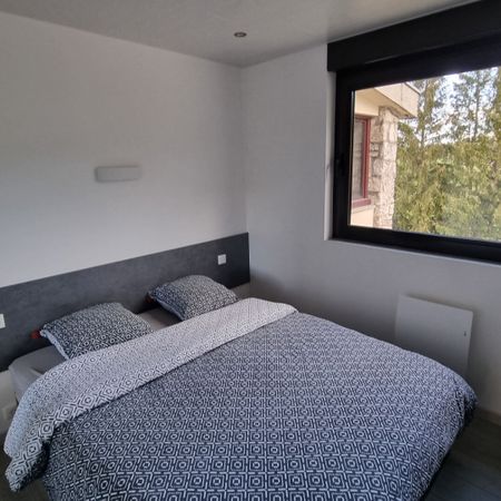 A LOUER APPARTEMENT T2 MEUBLÉ LES HOPITAUX NEUFS - Photo 4