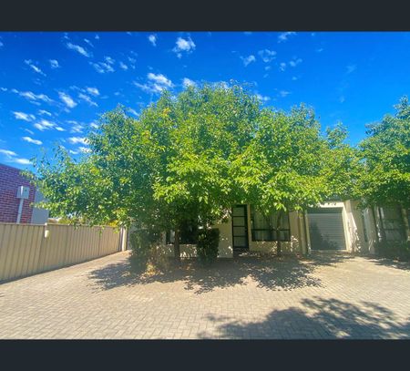 368A Portrush Road, Tusmore, SA 5065 - Photo 3