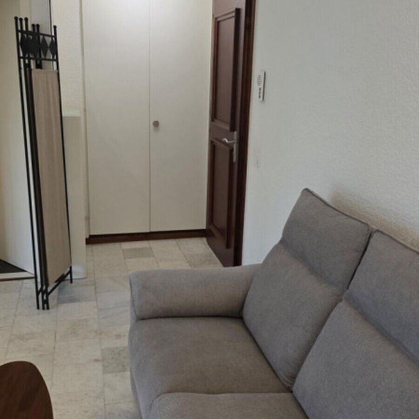Magnificent furnished 2 room apartment with terrace of 57m2 two minutes from the lake/St-Sulpice VD - Photo 1