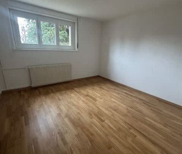 2.5 Zimmer, 53 m², Untergeschoss - Foto 1