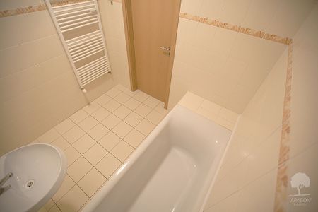 Pronájem bytu 2+1 75 m² - Photo 5