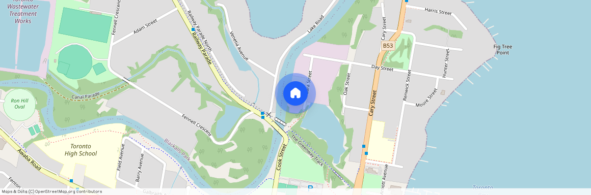 21 Sara Street, Toronto, NSW, 2283