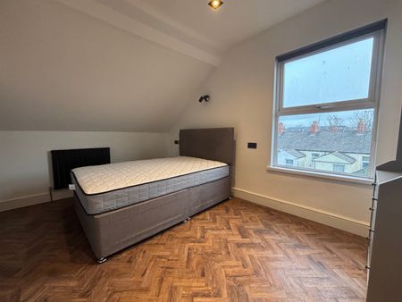 alisbury Road, Cathays - Photo 5