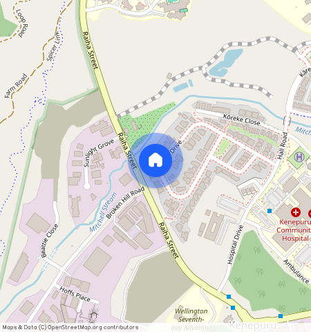 56 Hokioi Drive, Kenepuru