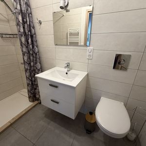 Location Appartement 1 pièce 24m² ST PAUL DE VARAX 01240 - Photo 2