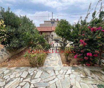 Μονοκατοικία για ενοικίαση Περιβόλια (Ραφήνα) - Photo 3