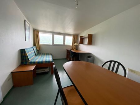 Appartement Saint-Martin-d'Hères - Photo 2