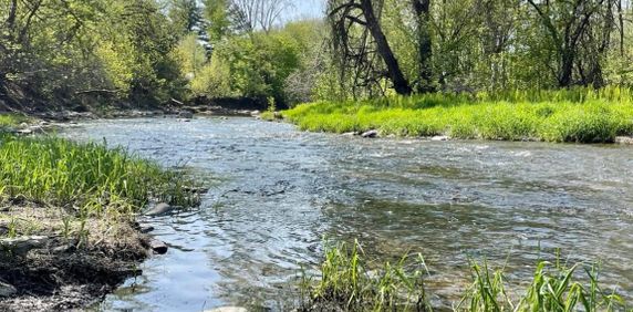 4 ½ à Louer, Très Belle Vue! - Photo 2