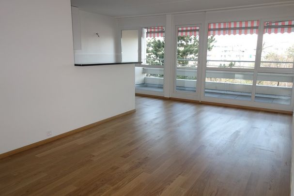 Quartier de la Gradelle - Chêne-Bougeries - Photo 1