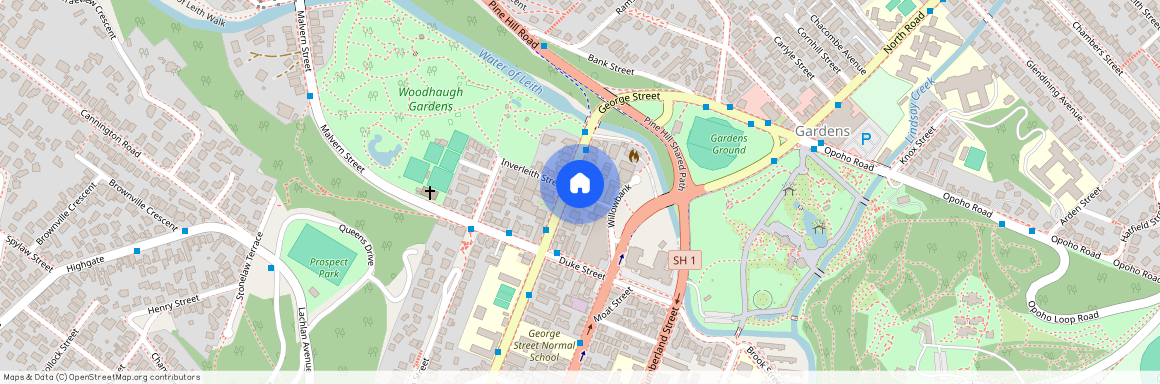 6 1036A George Street, Dunedin