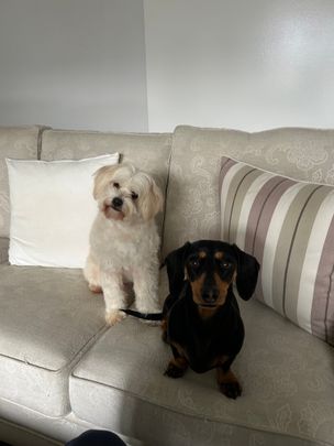 Narre Warren - Photo 1