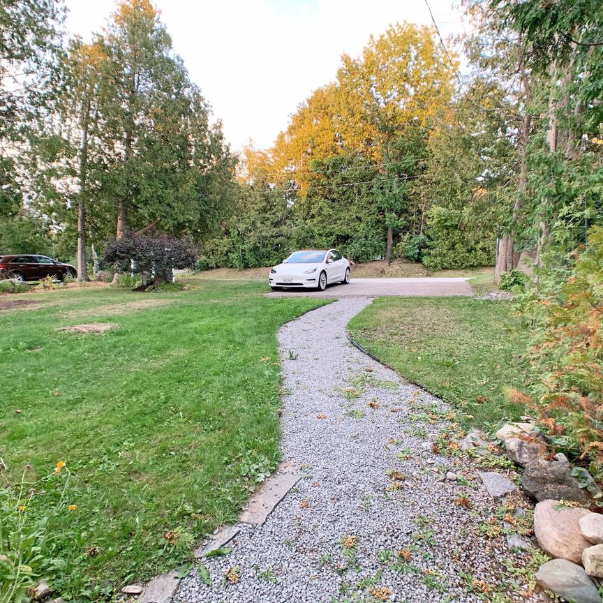 For Lease - 20 Joan Street, Georgina, Ontario - Photo 1