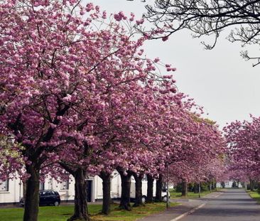 2 Bedroom Apartments At Merville Garden Village, Newtownabbey, BT37... - Photo 6