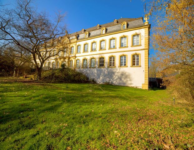 Große, exklusive barrierefreie Schlosswohnung mit modernen Einbauküchen, großem eigenem Garten, mehreren Tageslichtbädern und Park! - Photo 1