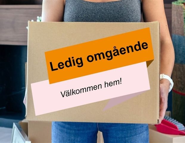 Blasius Königsgatan 30 A - Foto 1