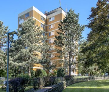 2-Zimmer-Wohnung in Hannover Döhren-Wüffel - Photo 2