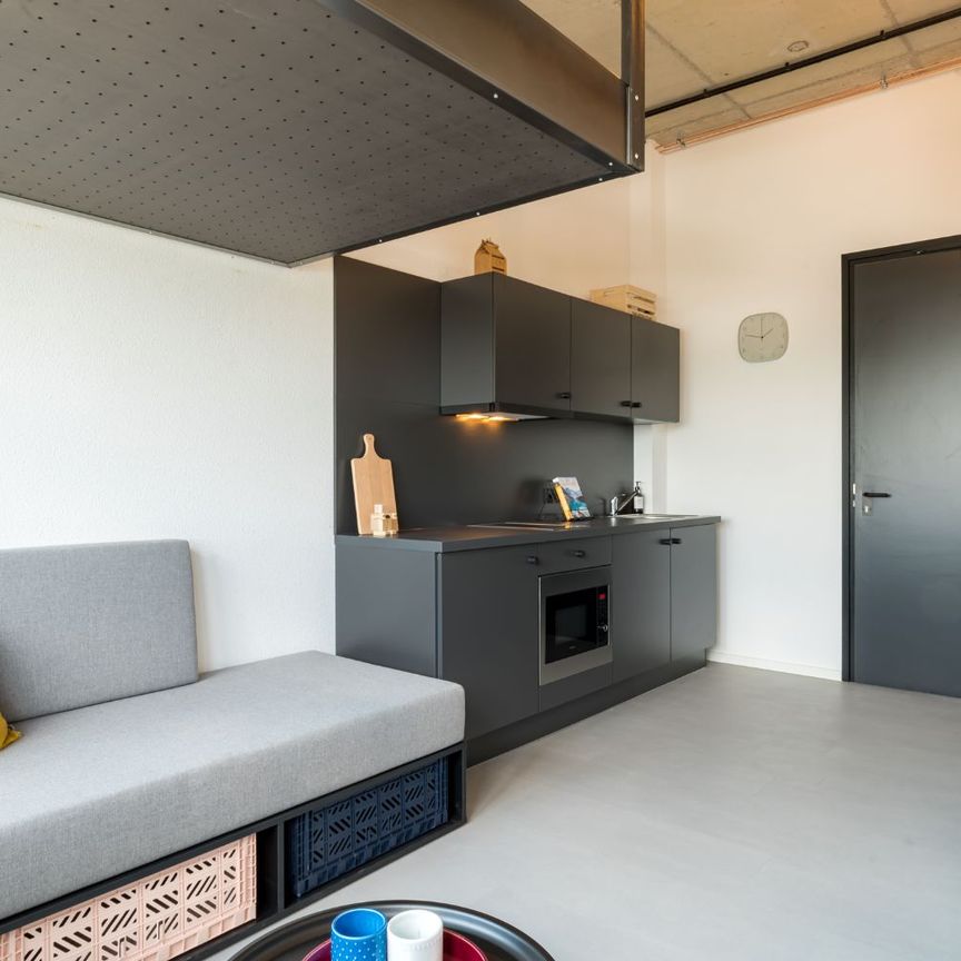 Te huur: Studio Maasboulevard in Maastricht - Photo 1