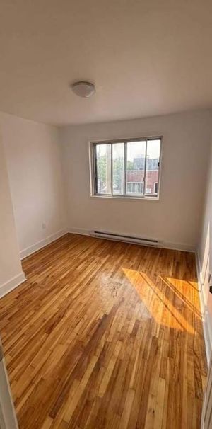 1 CH - 1 SDB - Montréal - $1,700 /mo - Photo 1