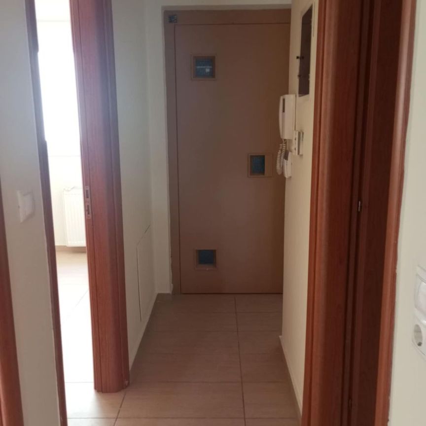 Μονοκατοικία για ενοικίαση Πευκάκια (Αγία Παρασκευή) - Photo 1