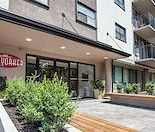335 MacLaren Street, Centretown, Ottawa, ON - Photo 2