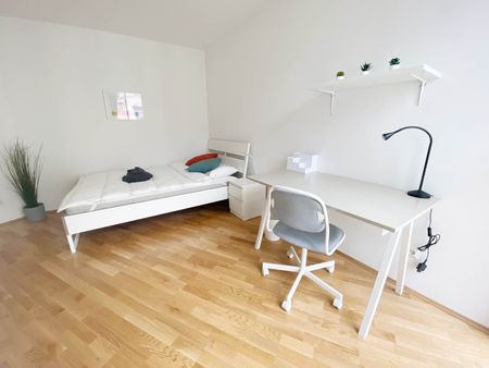 Schönbrunnerstraße Top 9 Zimmer 3 - Photo 2