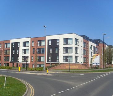 3 bedroom apartment to rent - Photo 6