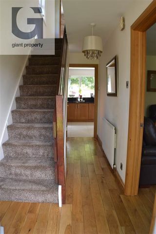 91 Salisbury Avenue, Belfast, BT15 5EA - Photo 4