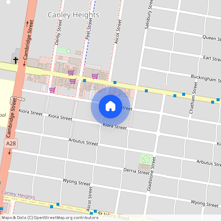 98 Torrens Street, Canley Heights 2166, New South Wales