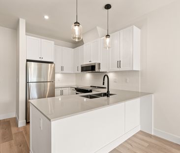 YEARLING - 201 - YE201 - Photo 6