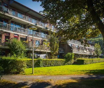 Chambre Enny Vredelaan, Rijnsweerd, Utrecht – À louer - Photo 2