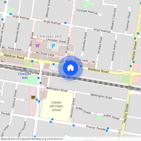 111 Waldron Road, 2162, Chester Hill Nsw