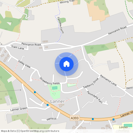 Pennance Parc, Lanner, TR16 5TY (2)