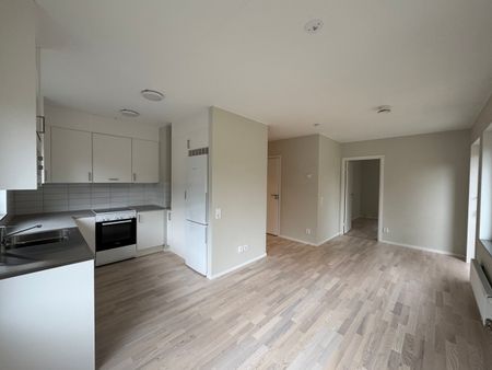 Klättergatan 9 – 2 rok (1601) - Photo 5