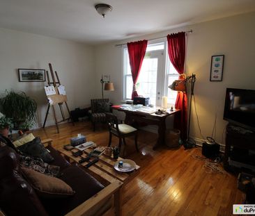5 1/2-955, avenue Marguerite-Bourgeoys, Saint-Sacrement à louer - Photo 5