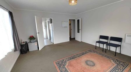 Two Bedroom Flat in the Heart of Morningside - Photo 4