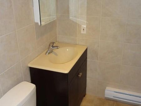 7225 Rue Durocher - Photo 5