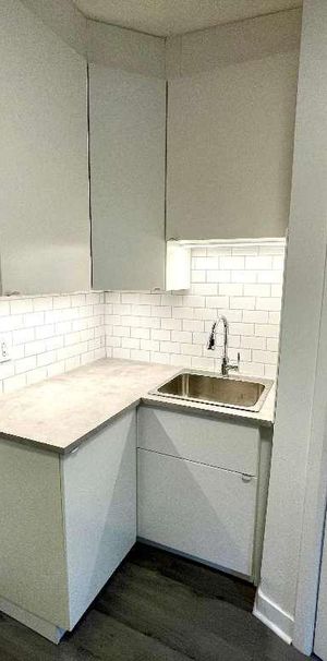 HOMA 3 1/2 complètement rénové à neuf! - Photo 1