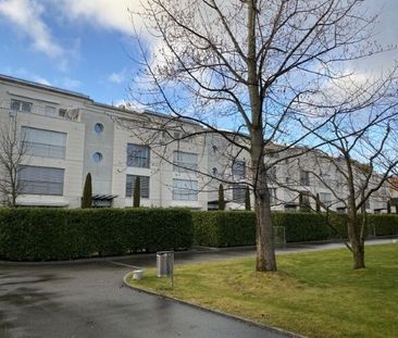 Appartement moderne de 5½ pièces avec jardin, cheminée et cave à vin - Photo 6