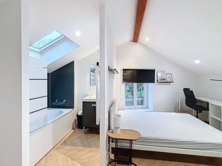 Appartement 1 pièce à Nancy - Photo 2