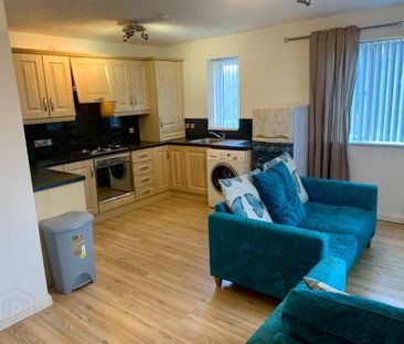 8 Glenmount Courtyard, Newtownabbey, BT36 7QG - Photo 4