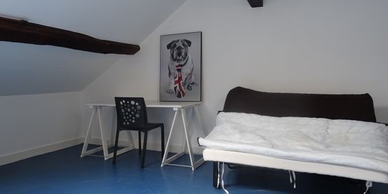 Location Appartement 1 pièce 18m² ORLEANS 45000 - Photo 3